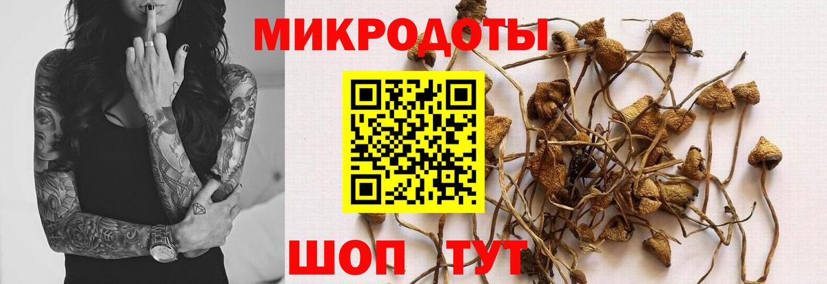 Крымск  Галлюциногенные грибы Psilocybe  Вход с VPN 